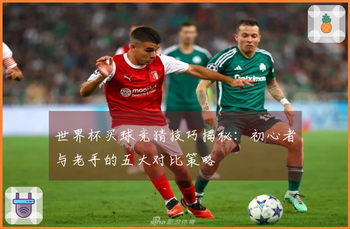 世界杯买球竞猜技巧揭秘：初心者与老手的五大对比策略