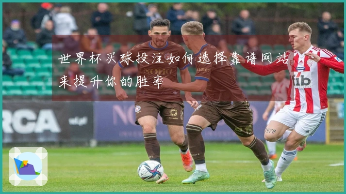 世界杯买球投注如何选择靠谱网站来提升你的胜率