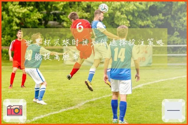世界杯买球时该如何选择投注策略才能提高胜率