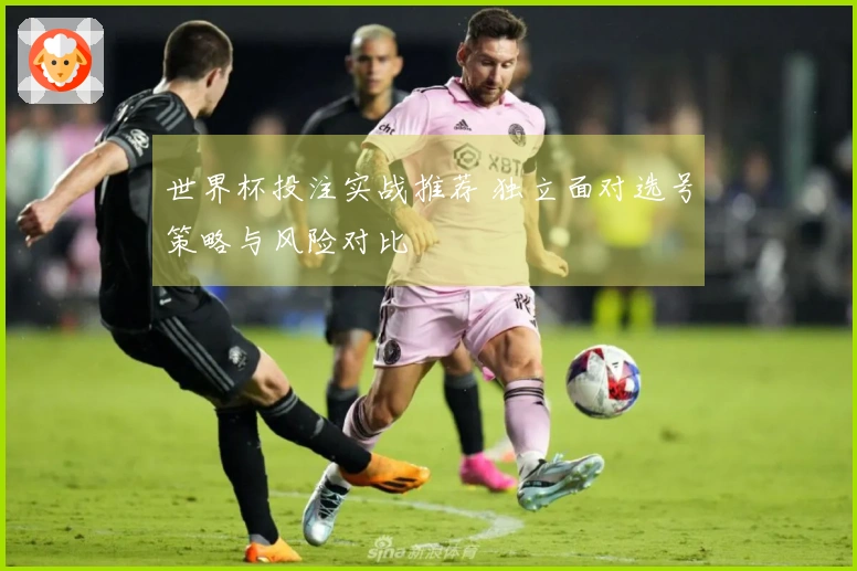 世界杯投注实战推荐 独立面对选号策略与风险对比