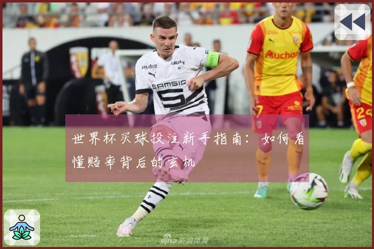 世界杯买球投注新手指南：如何看懂赔率背后的玄机