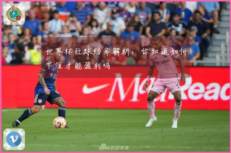 世界杯让球赔率解析，你知道如何下注才能盈利吗