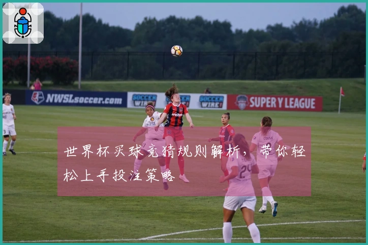 世界杯买球竞猜规则解析，带你轻松上手投注策略