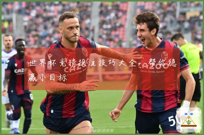 世界杯竞猜投注技巧大全，帮你稳赢小目标