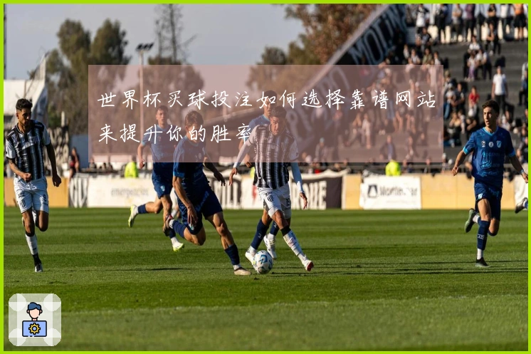 世界杯买球投注如何选择靠谱网站来提升你的胜率