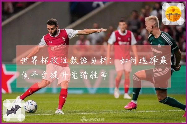 世界杯投注数据分析：如何选择最佳平台提升竞猜胜率