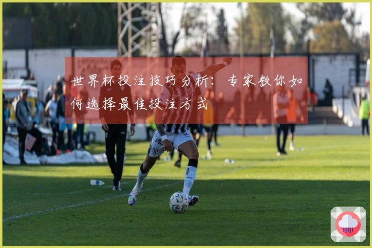 世界杯投注技巧分析：专家教你如何选择最佳投注方式