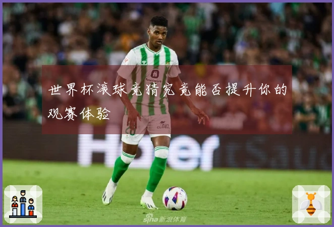 世界杯滚球竞猜究竟能否提升你的观赛体验