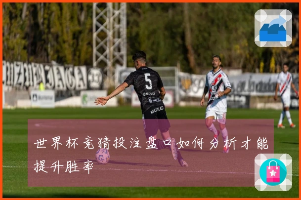世界杯竞猜投注盘口如何分析才能提升胜率