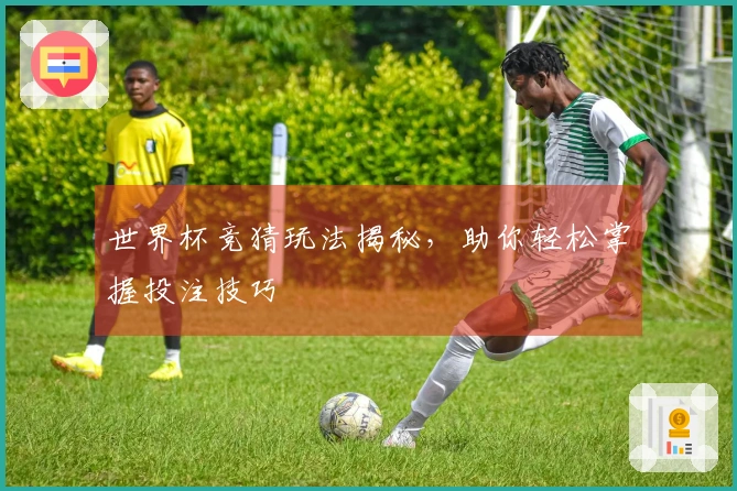 世界杯竞猜玩法揭秘，助你轻松掌握投注技巧