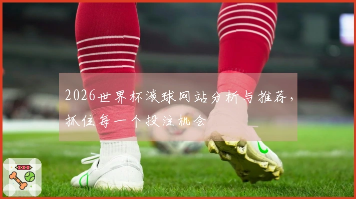2026世界杯滚球网站分析与推荐，抓住每一个投注机会