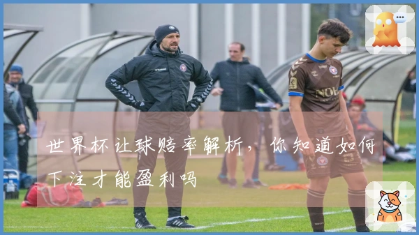 世界杯让球赔率解析，你知道如何下注才能盈利吗