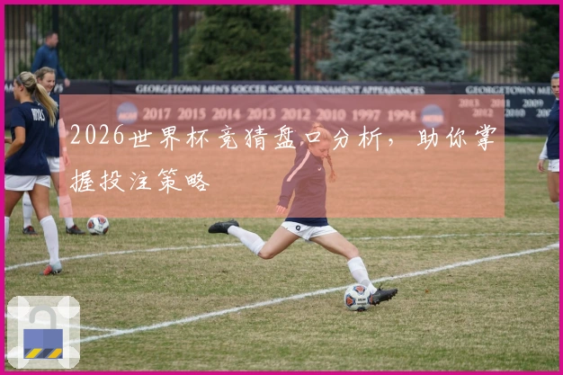 2026世界杯竞猜盘口分析，助你掌握投注策略